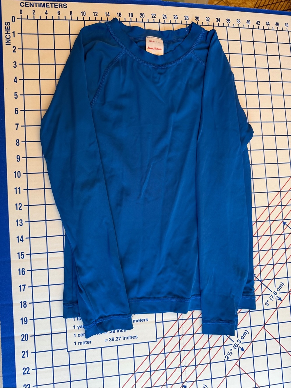 Hanna Andersson Blue Long Sleeve Swim Top